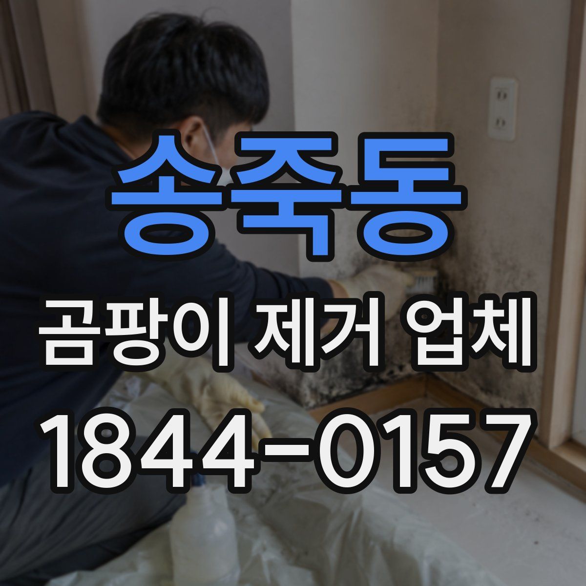 송죽동 곰팡이 제거 업체