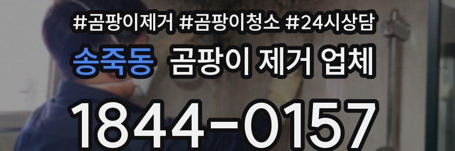 송죽동 곰팡이 제거 업체