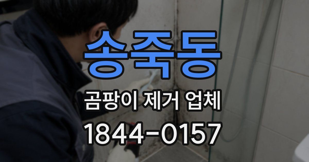 송죽동 곰팡이 제거 업체