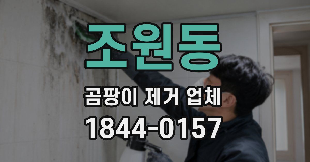 조원동 곰팡이 제거 업체