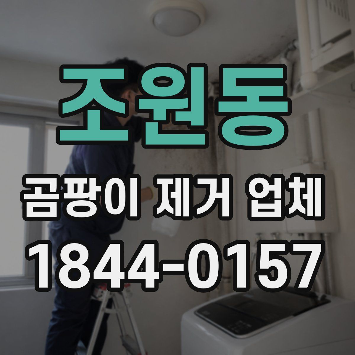 조원동 곰팡이 제거 업체