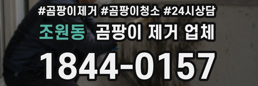 조원동 곰팡이 제거 업체