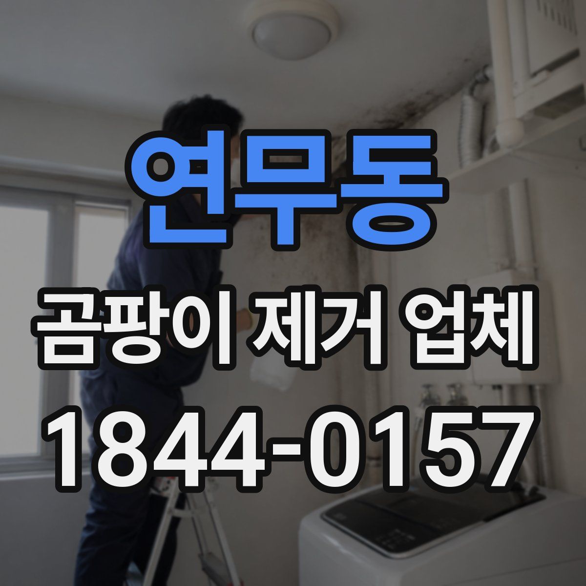 연무동 곰팡이 제거 업체