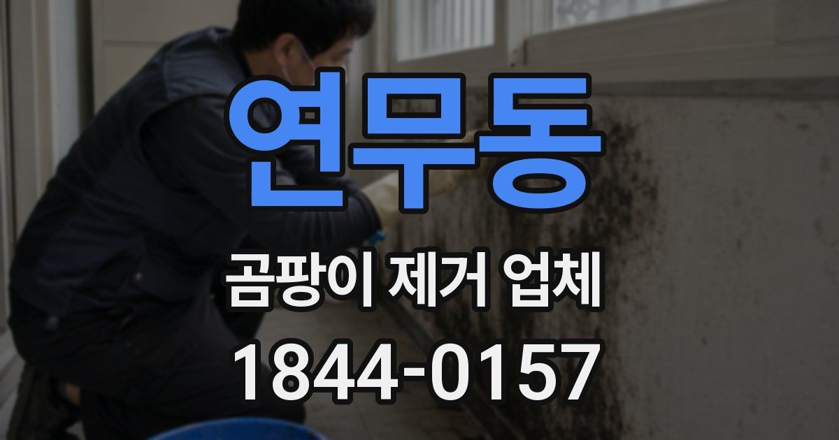 연무동 곰팡이 제거 업체