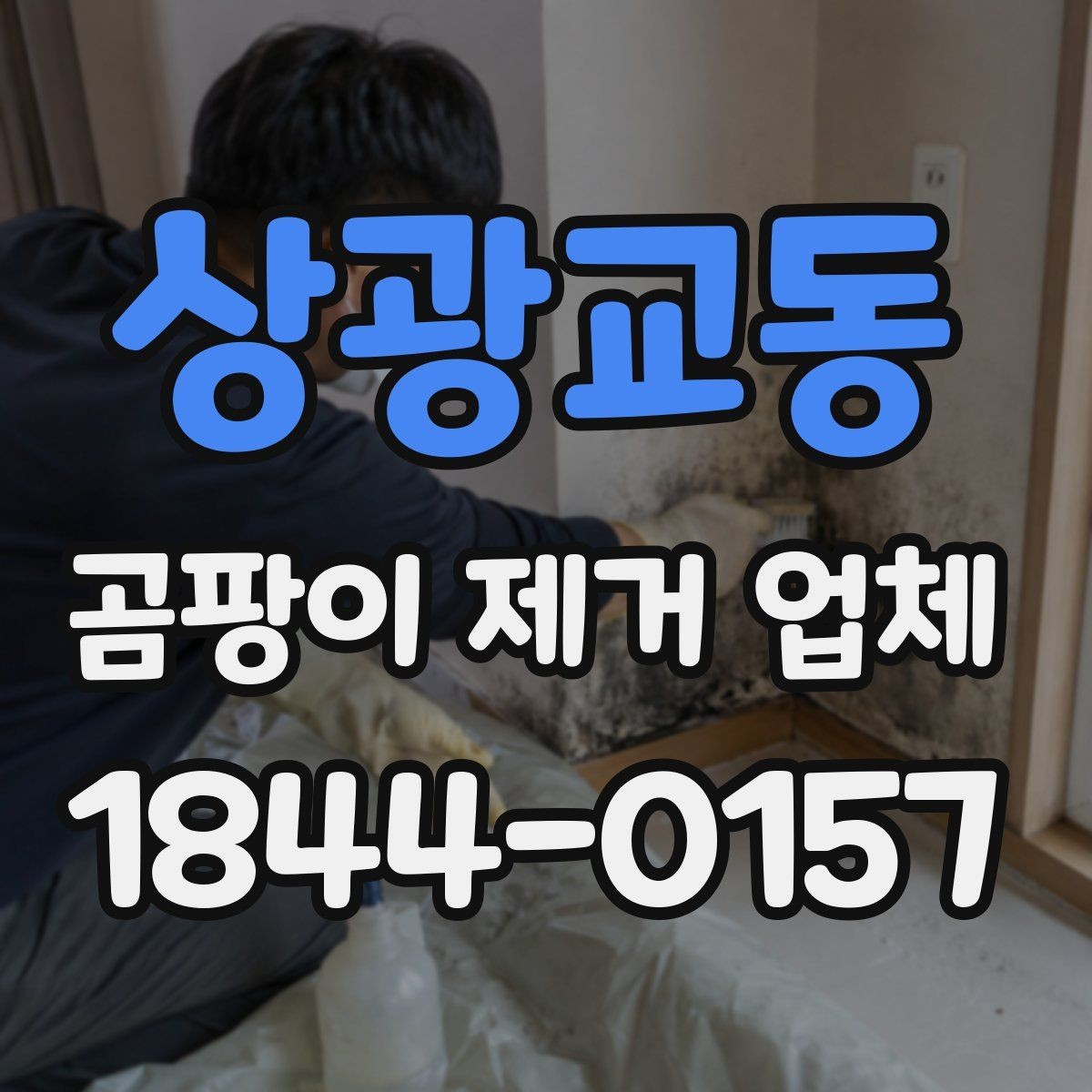 상광교동 곰팡이 제거 업체 발코니와 창호 주변 점검 포인트