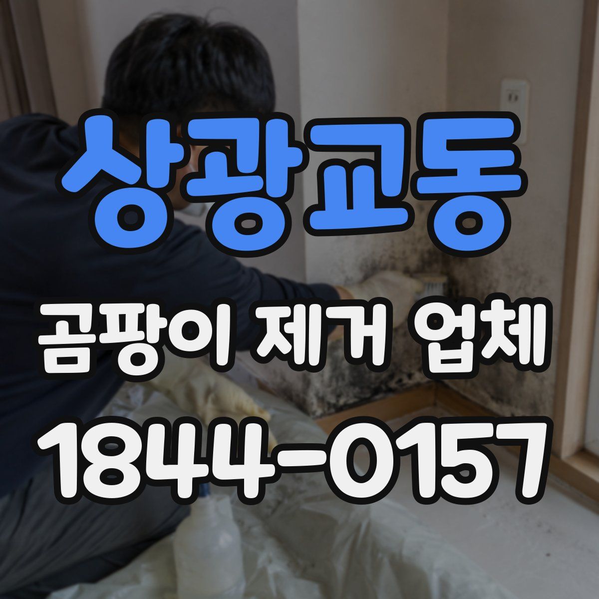상광교동 곰팡이 제거 업체