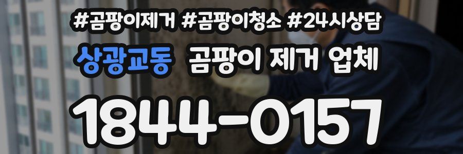 상광교동 곰팡이 제거 업체