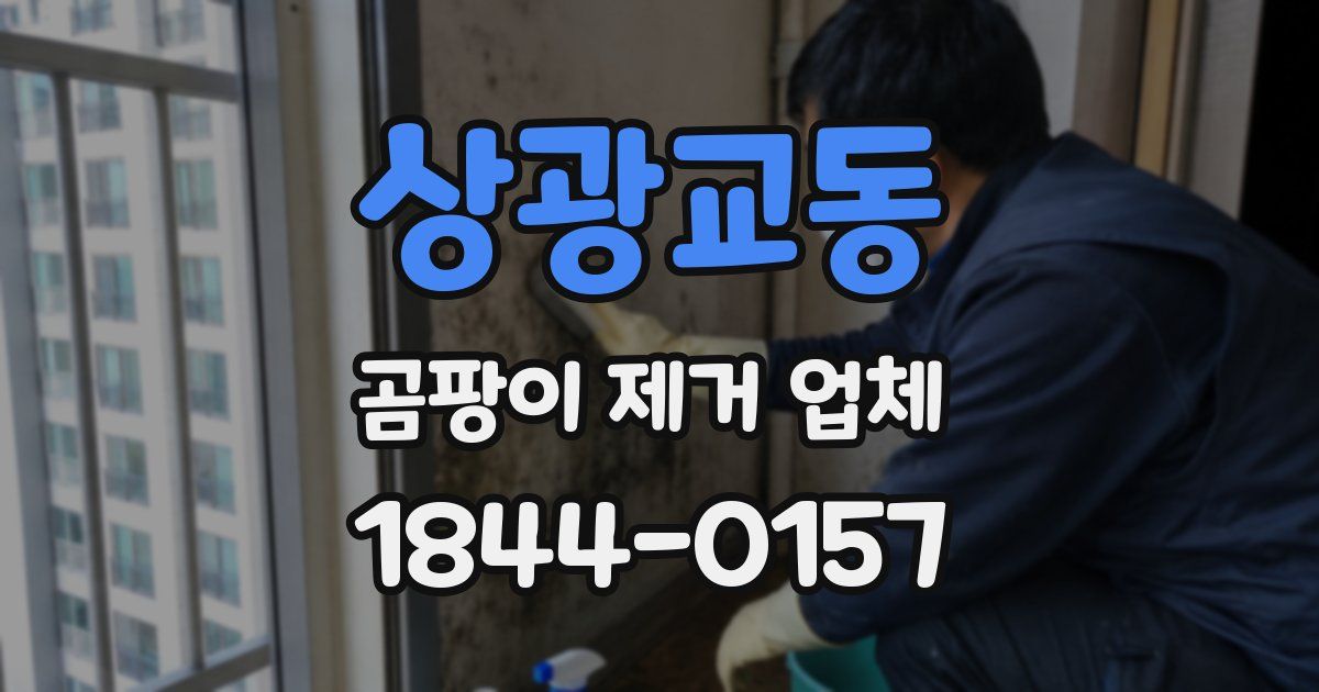 상광교동 곰팡이 제거 업체