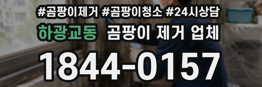 하광교동 곰팡이 제거 업체