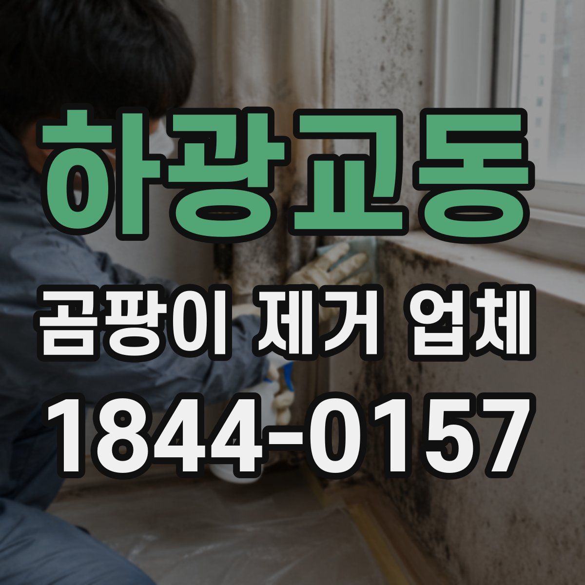하광교동 곰팡이 제거 업체