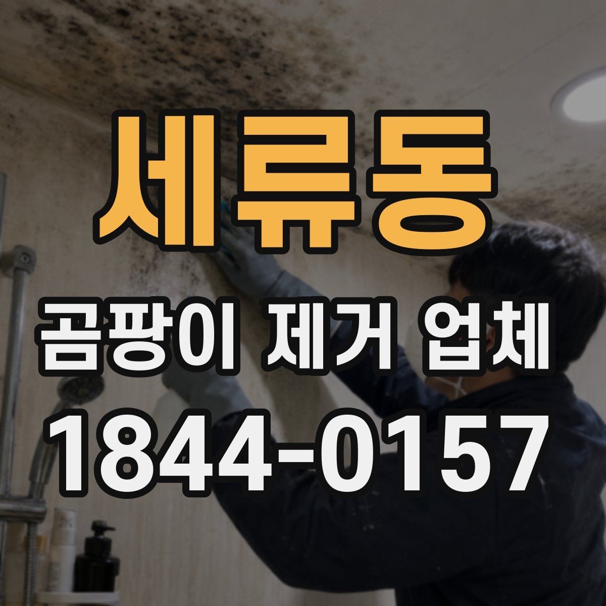 세류동 곰팡이 제거 업체 천장 오염이 반복되는 패턴 살펴보기