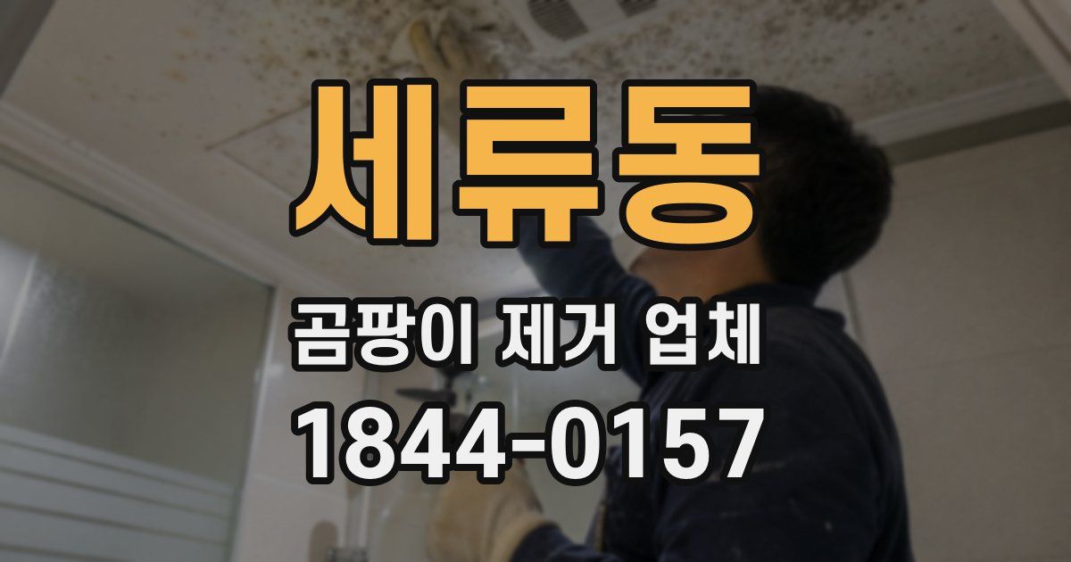 세류동 곰팡이 제거 업체
