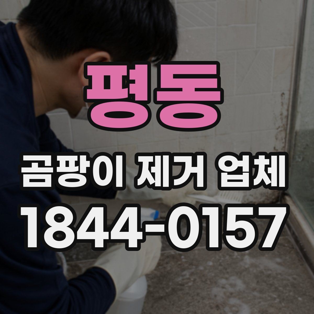 평동 곰팡이 제거 업체 세입자와 집주인이 함께 확인할 점검 항목
