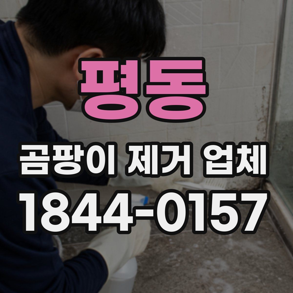 평동 곰팡이 제거 업체