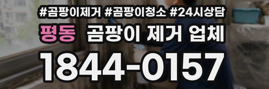 평동 곰팡이 제거 업체