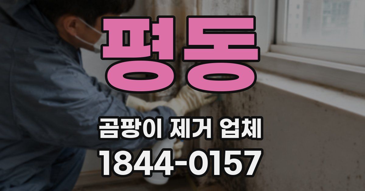 평동 곰팡이 제거 업체