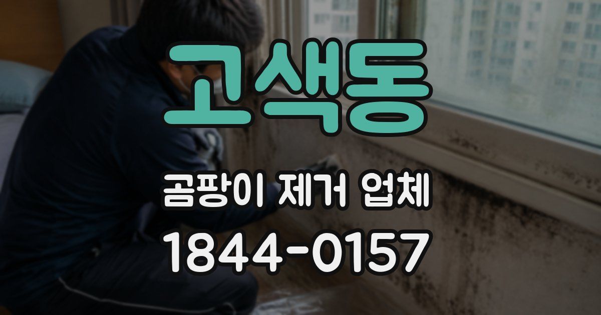고색동 곰팡이 제거 업체