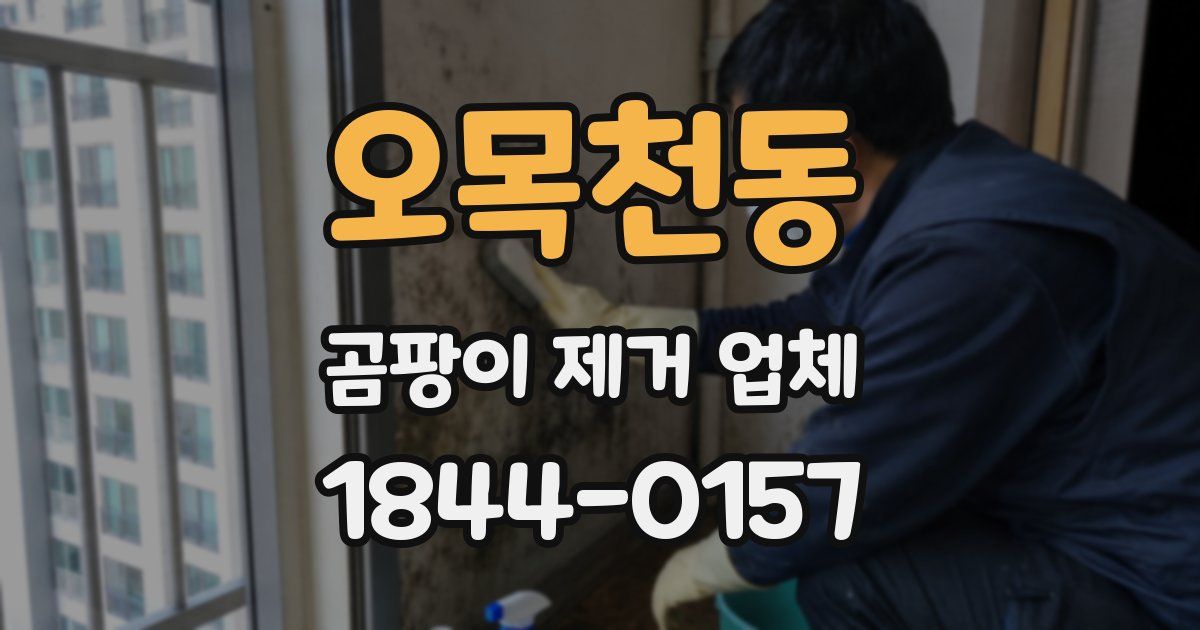 오목천동 곰팡이 제거 업체