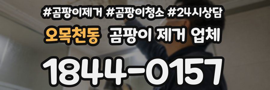 오목천동 곰팡이 제거 업체