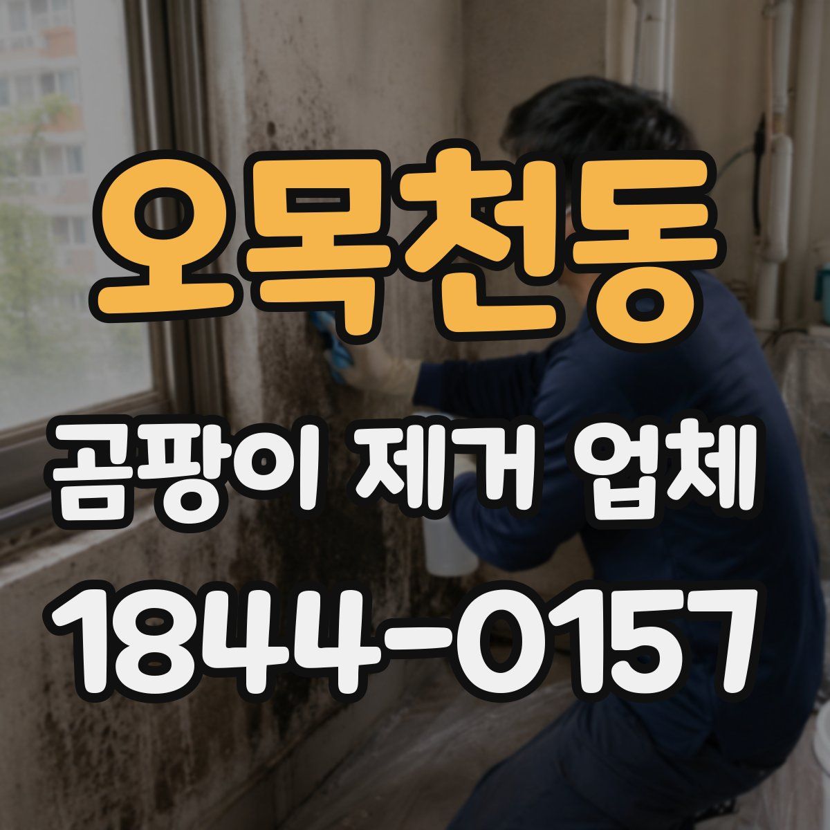 오목천동 곰팡이 제거 업체