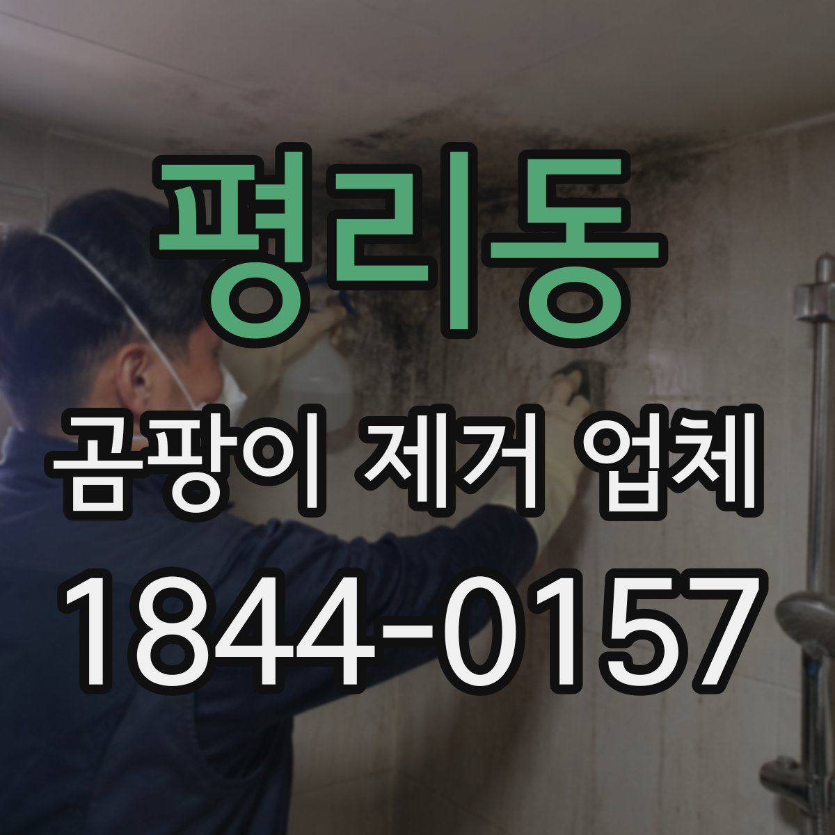 평리동 곰팡이 제거 업체