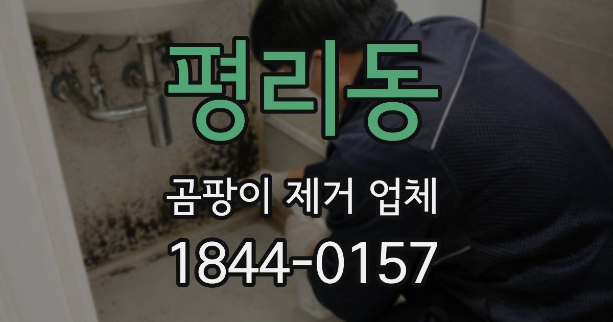 평리동 곰팡이 제거 업체