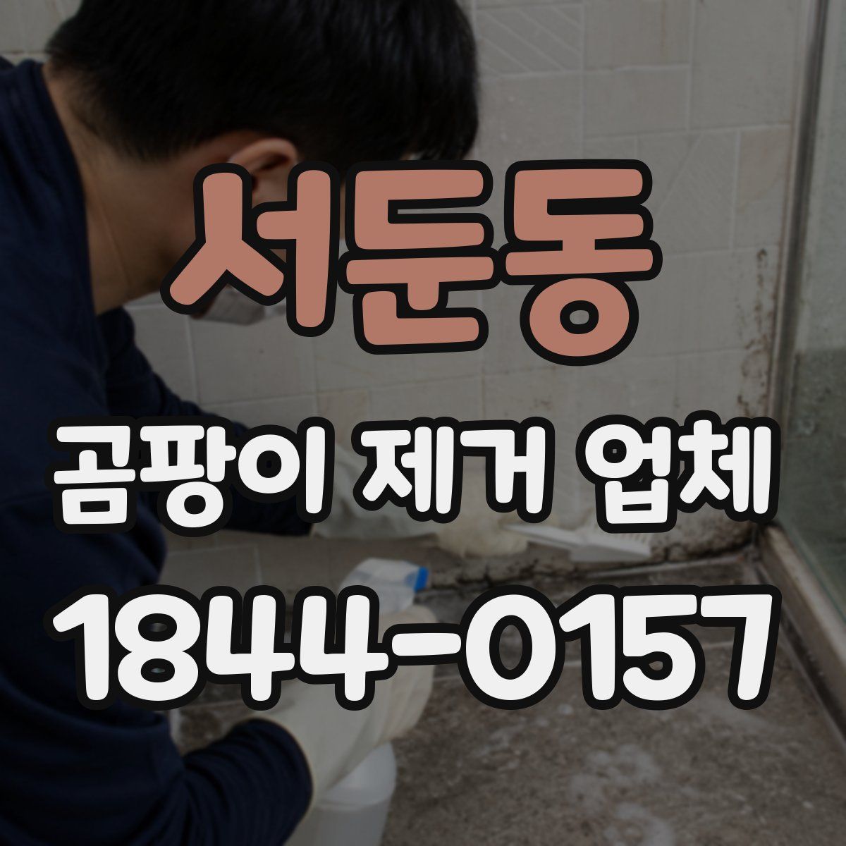 서둔동 곰팡이 제거 업체