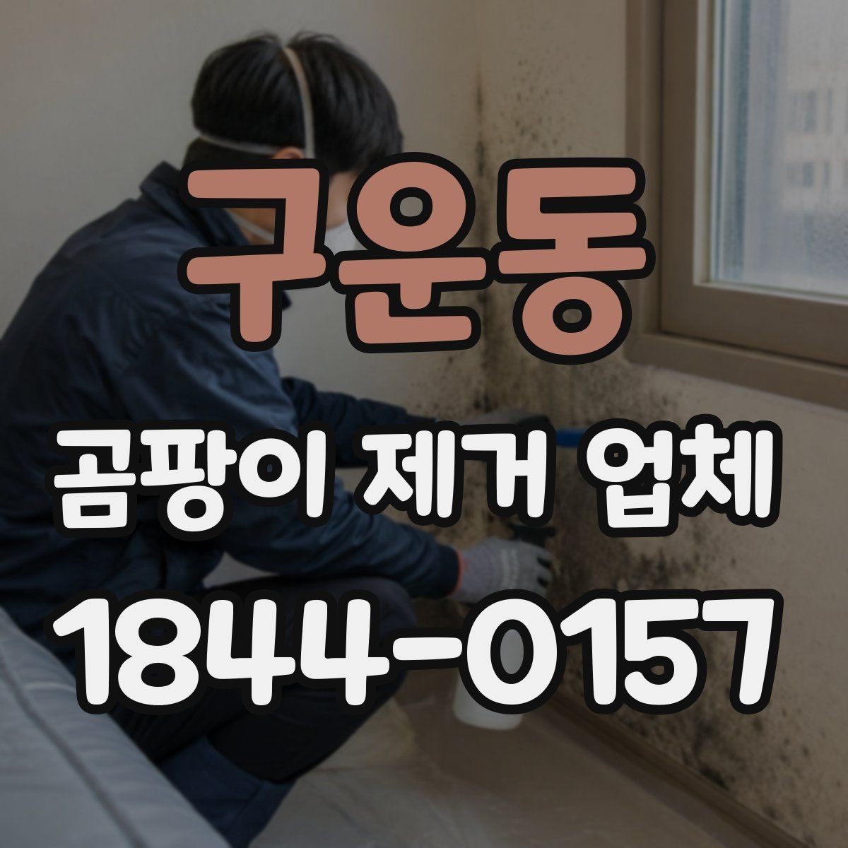 구운동 곰팡이 제거 업체 냄새가 먼저 나는 공간에서 시작하는 진단 순서