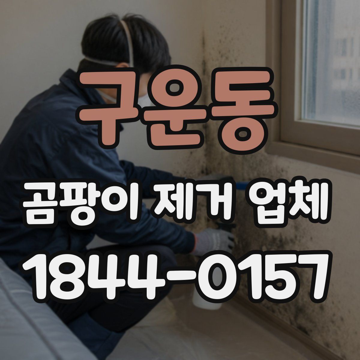 구운동 곰팡이 제거 업체