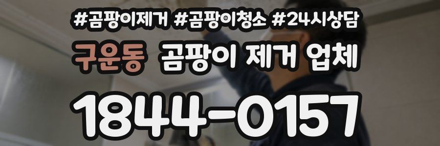 구운동 곰팡이 제거 업체