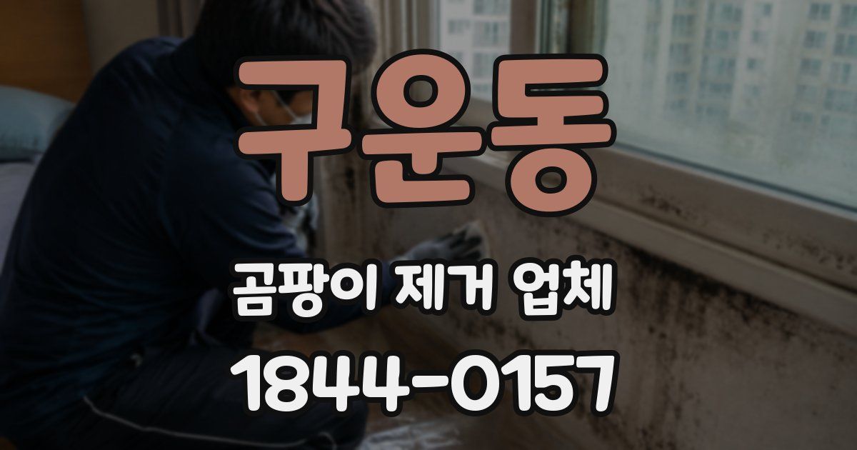 구운동 곰팡이 제거 업체