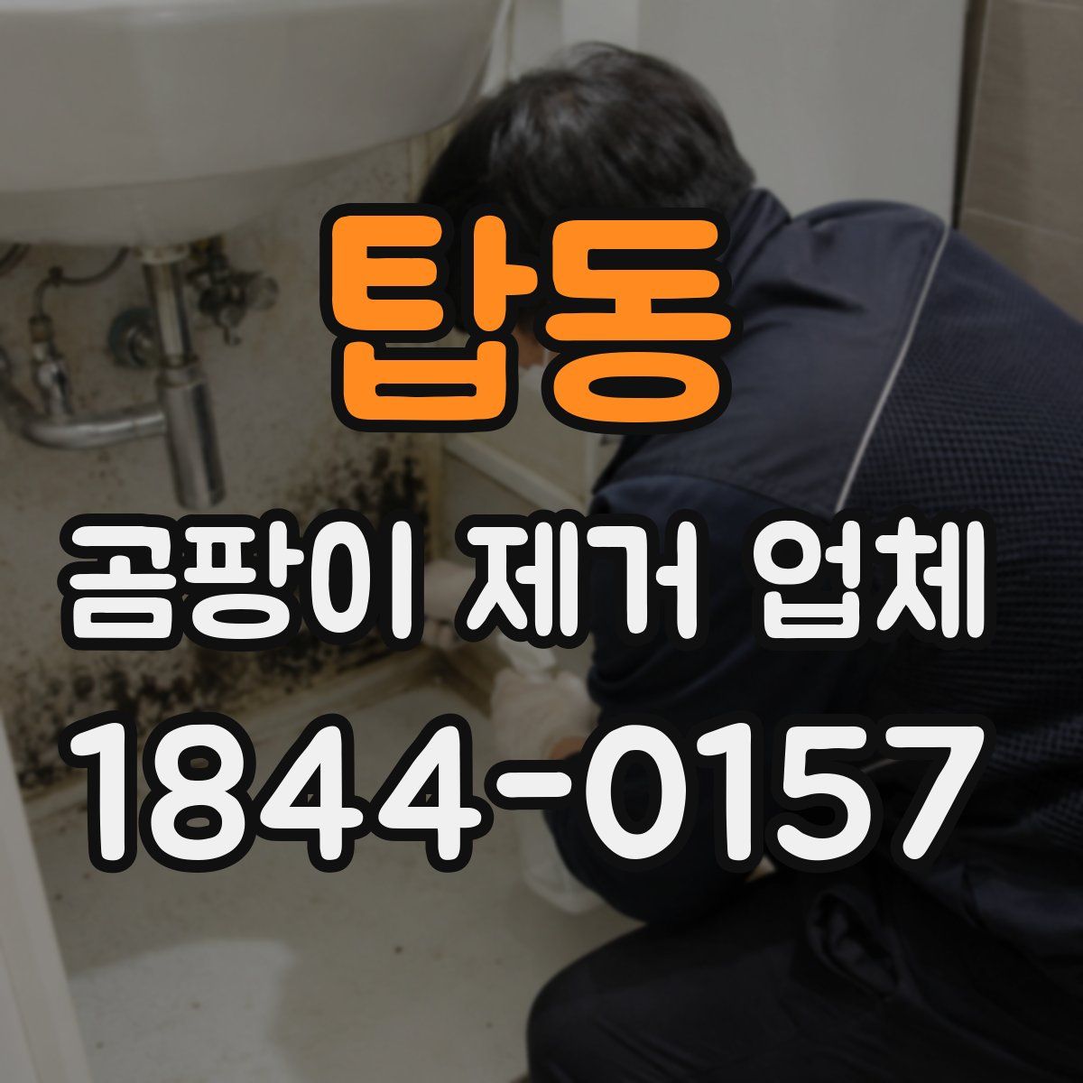 탑동 곰팡이 제거 업체