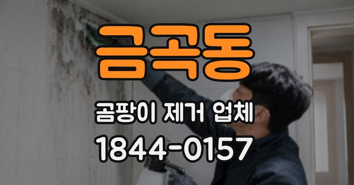 금곡동 곰팡이 제거 업체