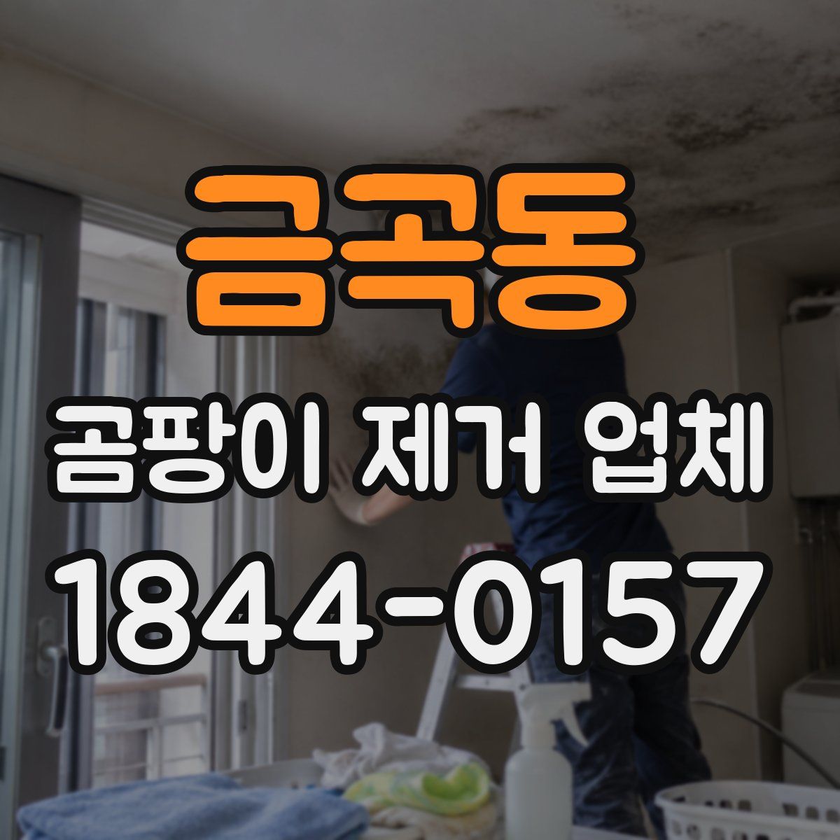 금곡동 곰팡이 제거 업체