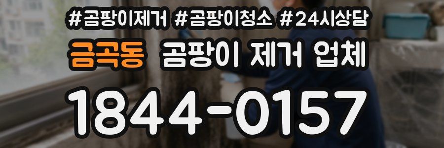금곡동 곰팡이 제거 업체