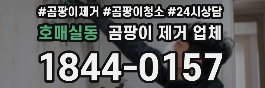 호매실동 곰팡이 제거 업체
