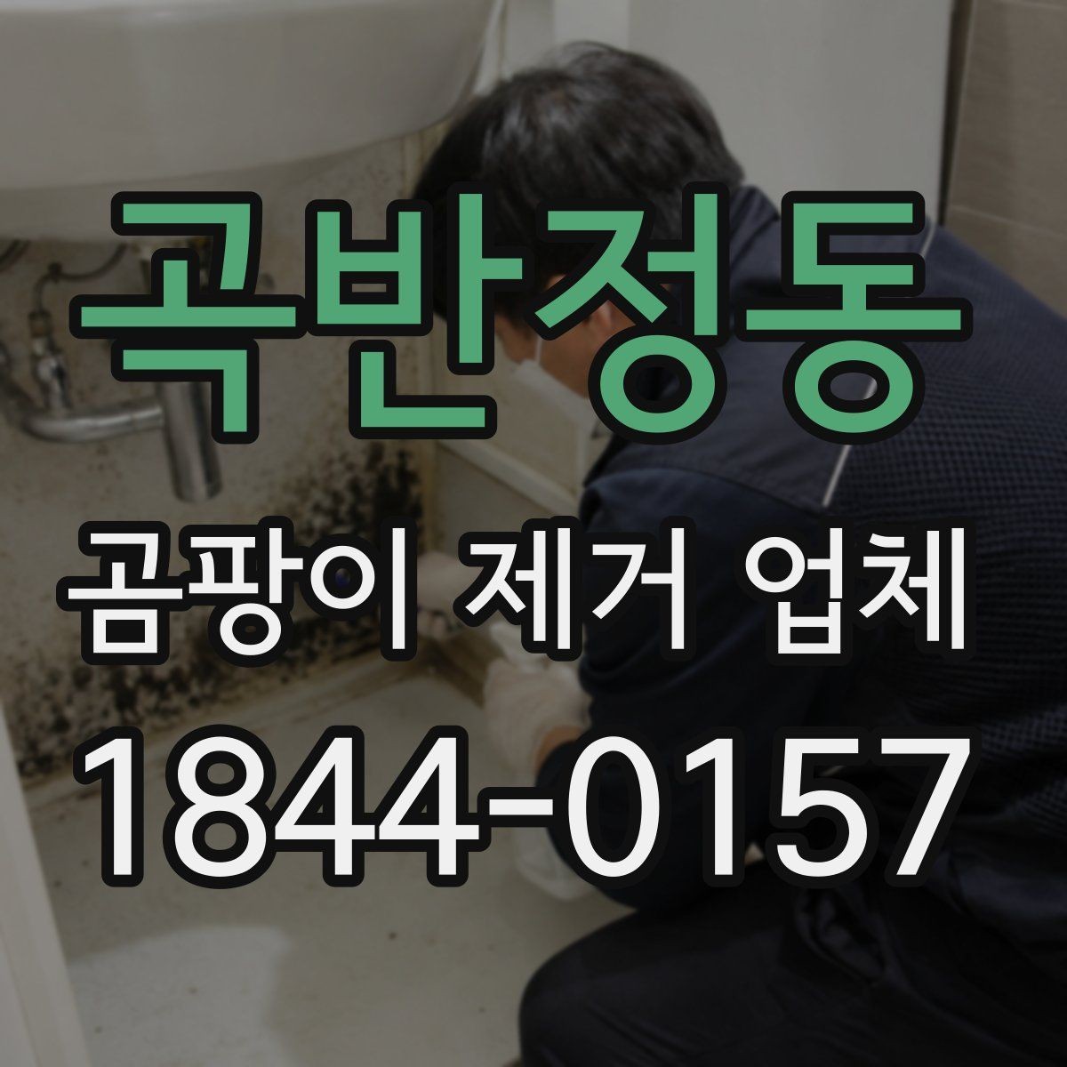 곡반정동 곰팡이 제거 업체 오염 부위별 제거 계획을 세우는 방법