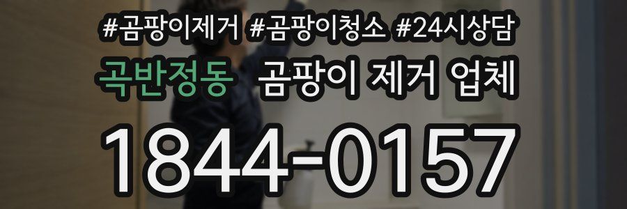 곡반정동 곰팡이 제거 업체