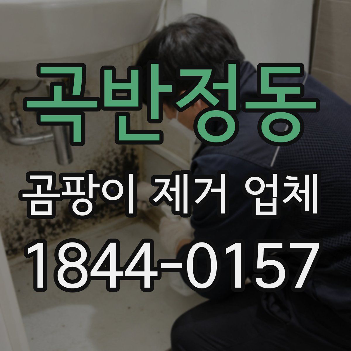 곡반정동 곰팡이 제거 업체