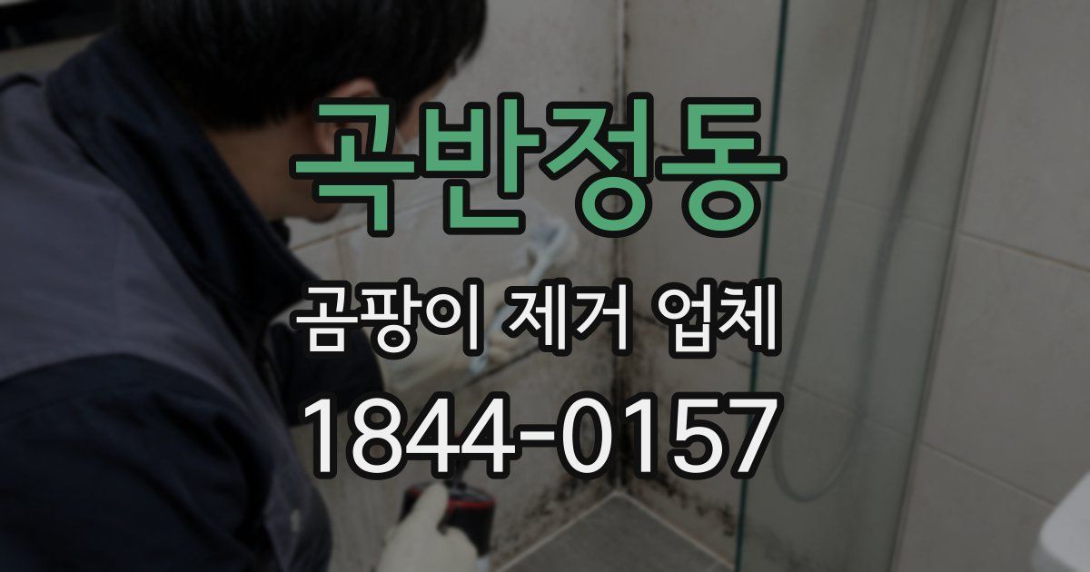 곡반정동 곰팡이 제거 업체