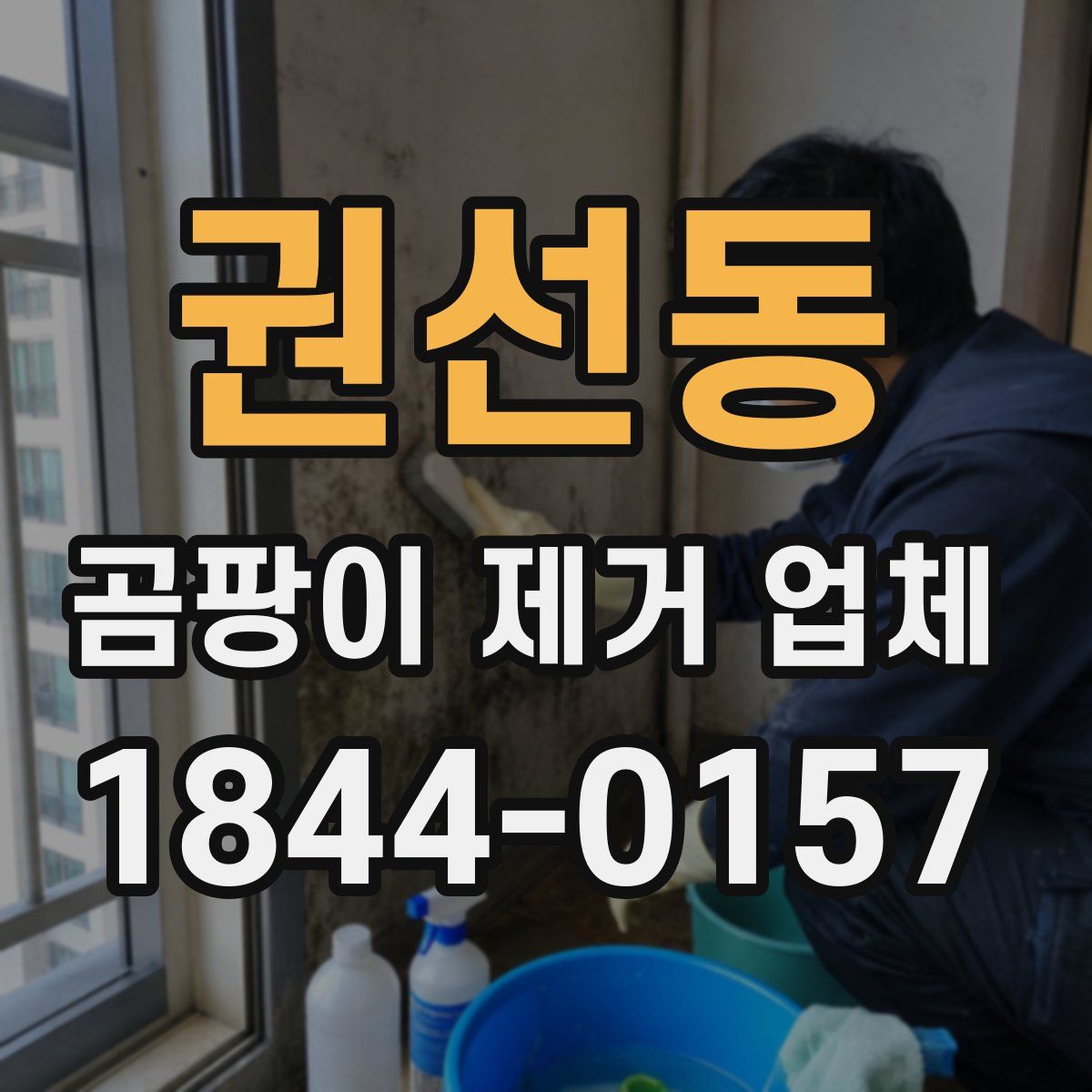 권선동 곰팡이 제거 업체