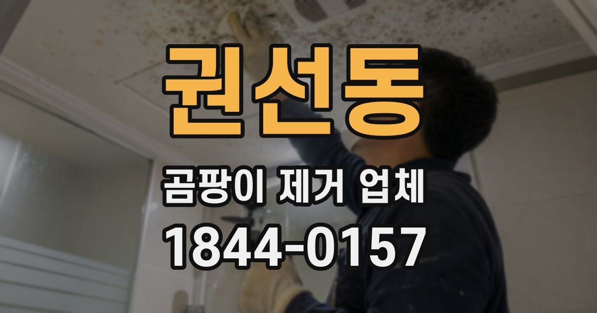 권선동 곰팡이 제거 업체