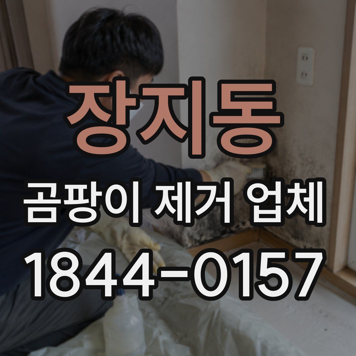 장지동 곰팡이 제거 업체