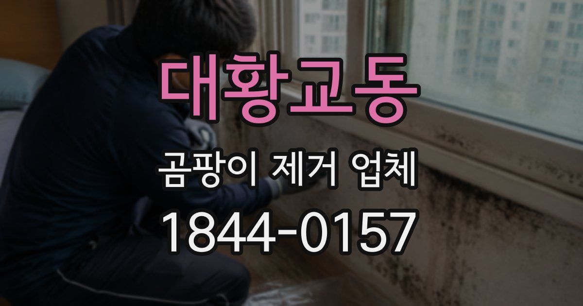 대황교동 곰팡이 제거 업체