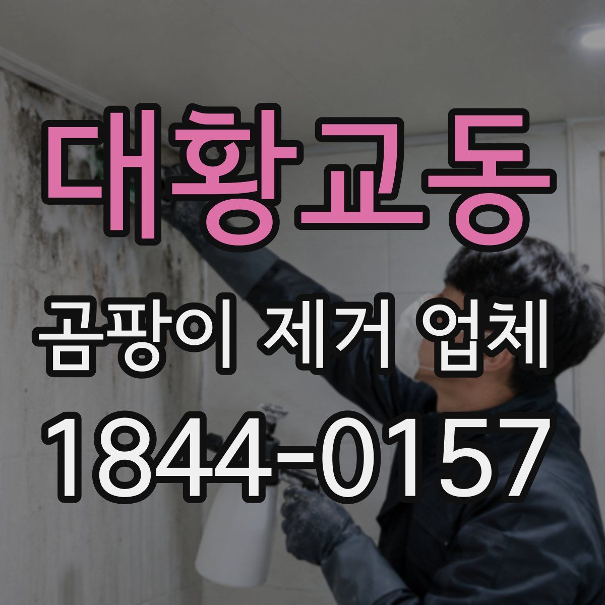 대황교동 곰팡이 제거 업체