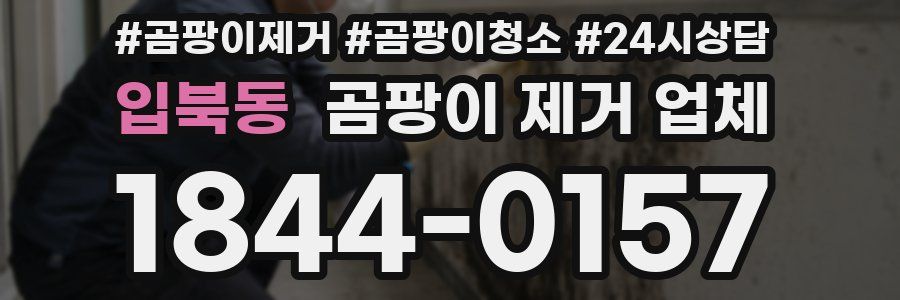 입북동 곰팡이 제거 업체