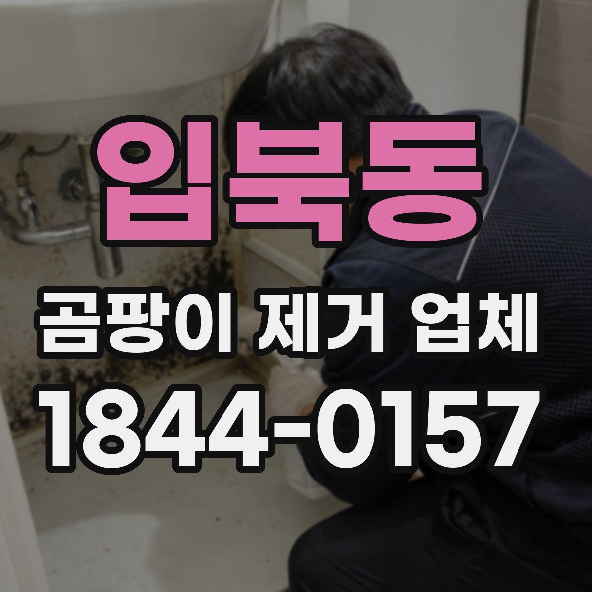 입북동 곰팡이 제거 업체