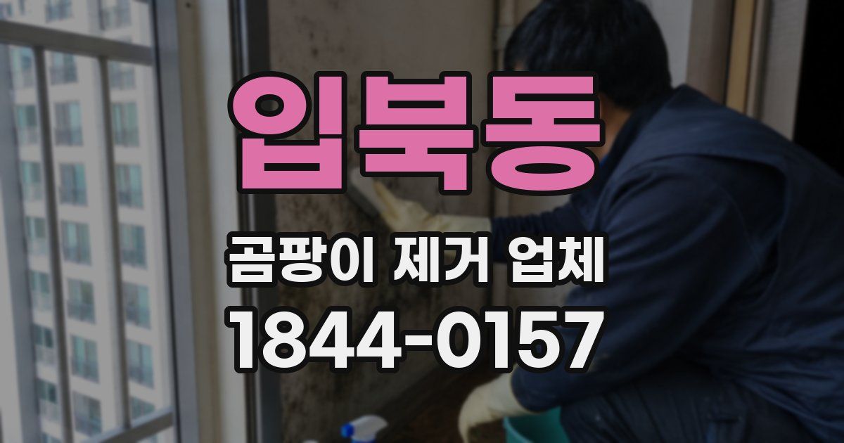 입북동 곰팡이 제거 업체