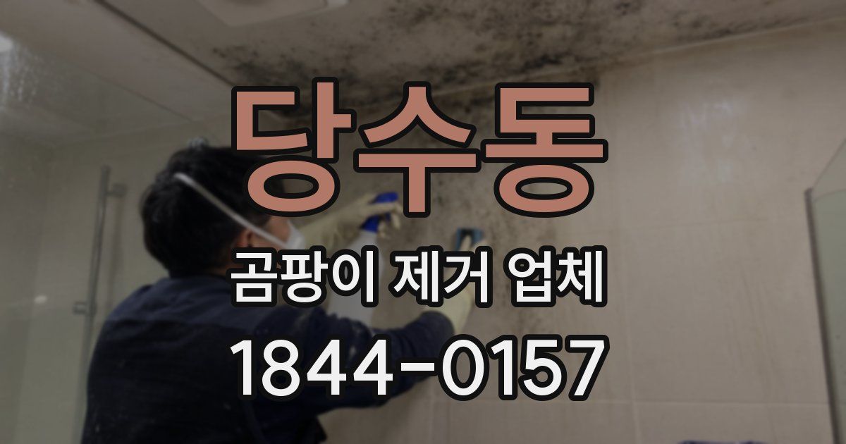 당수동 곰팡이 제거 업체