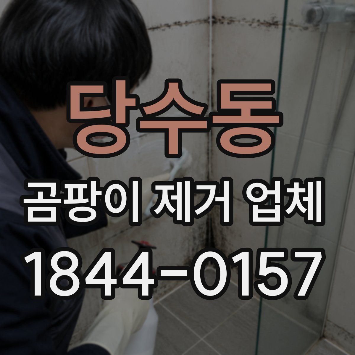 당수동 곰팡이 제거 업체